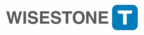(주)와이즈스톤티 logo
