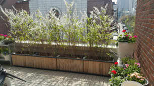 사무실 베란다입니다