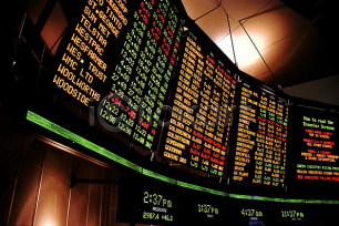 주식 IR자문 제공