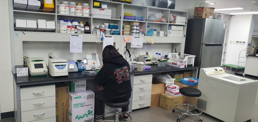 숙명여대ICC연구실