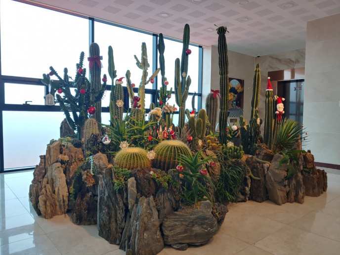 직원식당 로비 화단