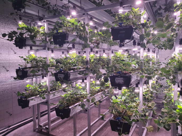 사무실실내농장