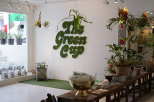 그린컵 팝업당시