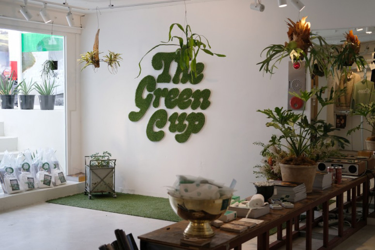 그린컵 팝업당시