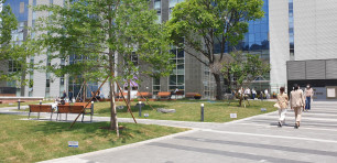 배재정동빌딩 정원