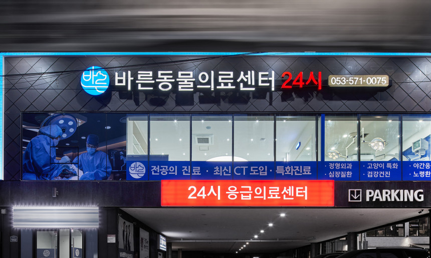 야간