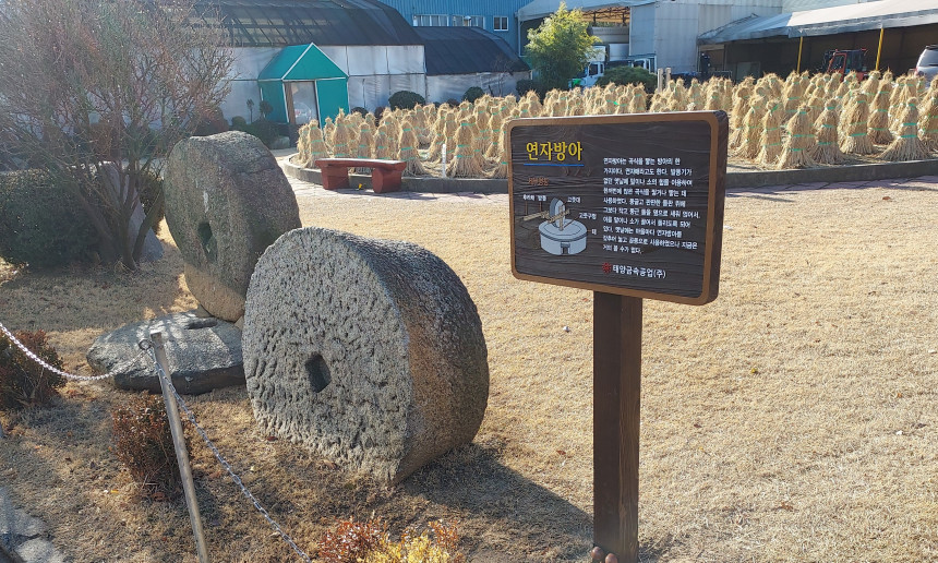 쉼이 있는 장미정원