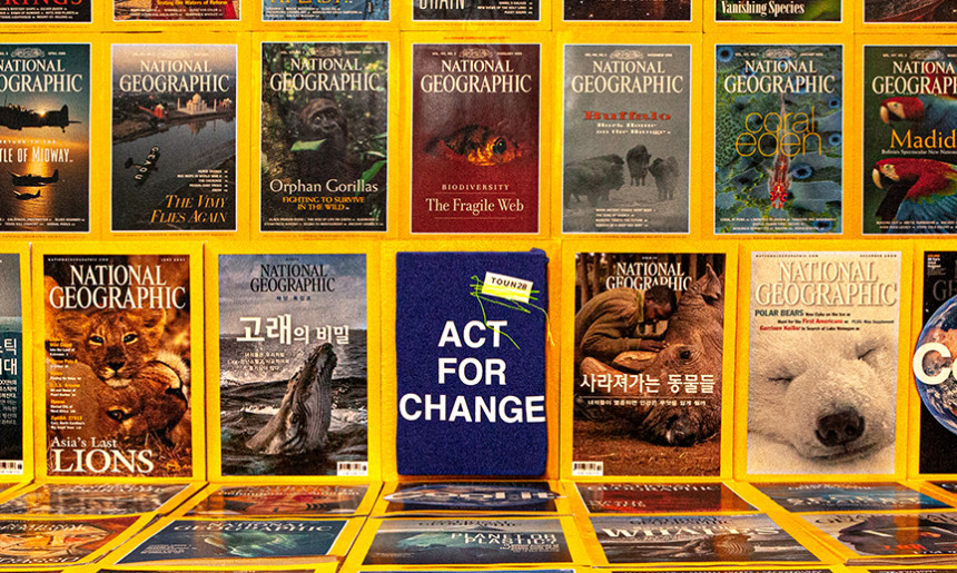 무브먼트 이미지