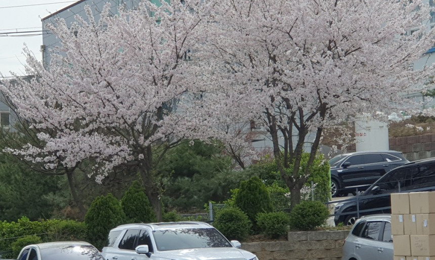 HK동아(주) 화성 본사