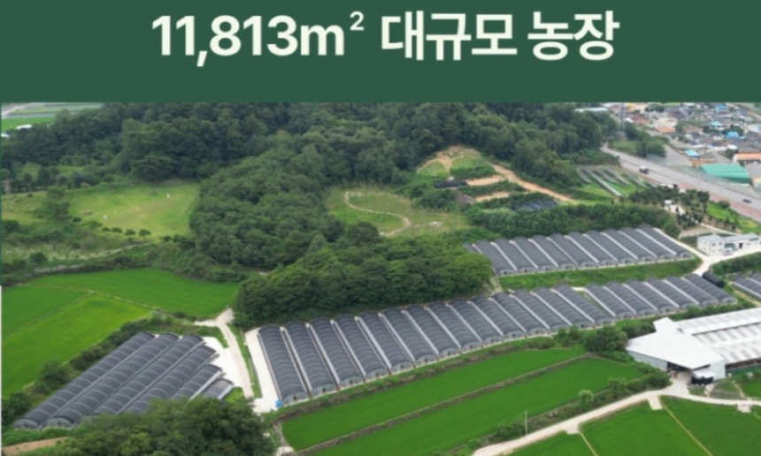 에이스팜 농장전경