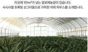 에이스팜 알로에농장 하우스
