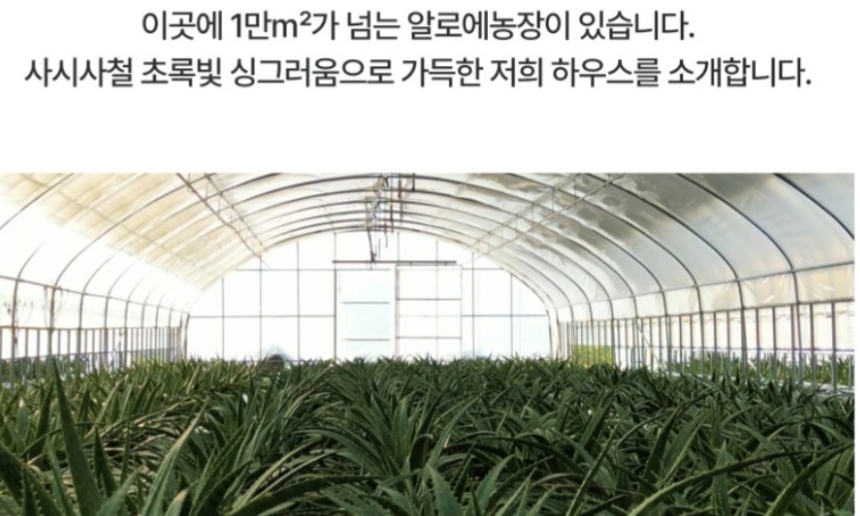 에이스팜 알로에농장 하우스
