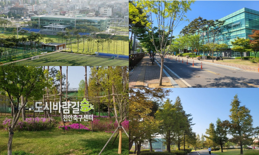 본사 전경 및 숲세권