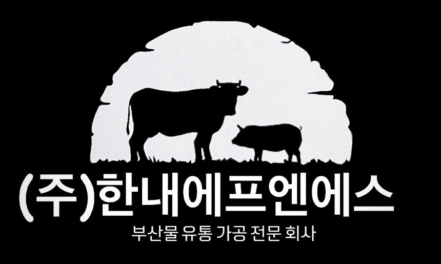 주식회사 한내에프엔에스