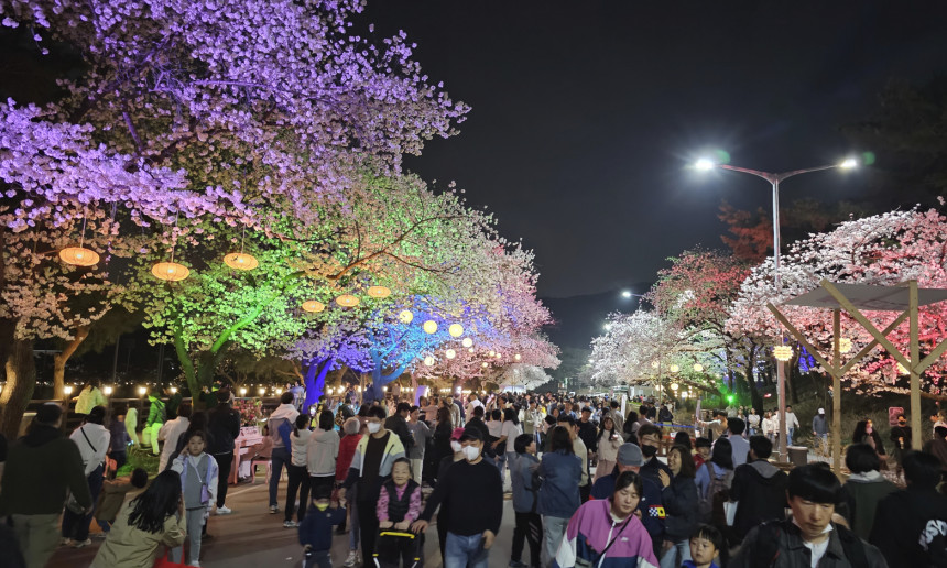 2023 렛츠런파크 벚꽃축제