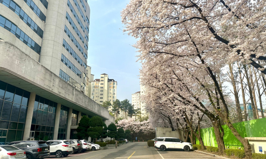 건물 외관 (한국교총회관)