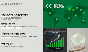 글로벌 시장 및 성장 전략