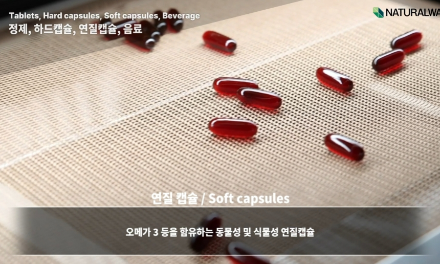 연질