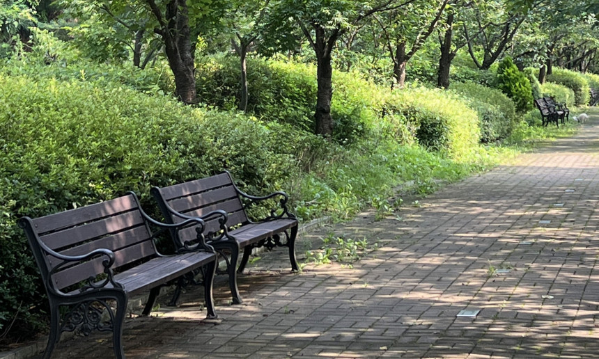 사무실 근처 공원