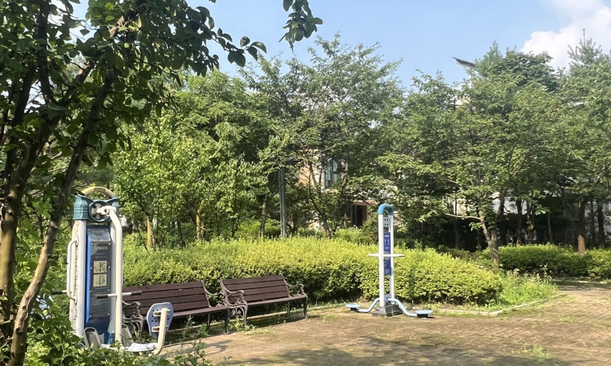 사무실 근처 공원2