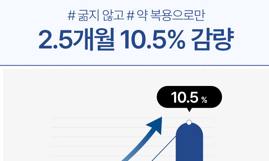 감비정2