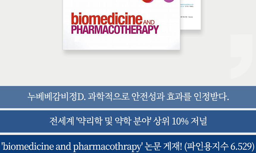 감비정3