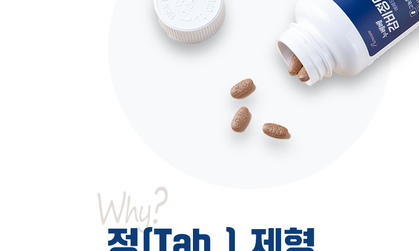 감비정4