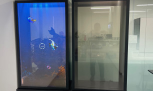 투명 oled 디스플레이