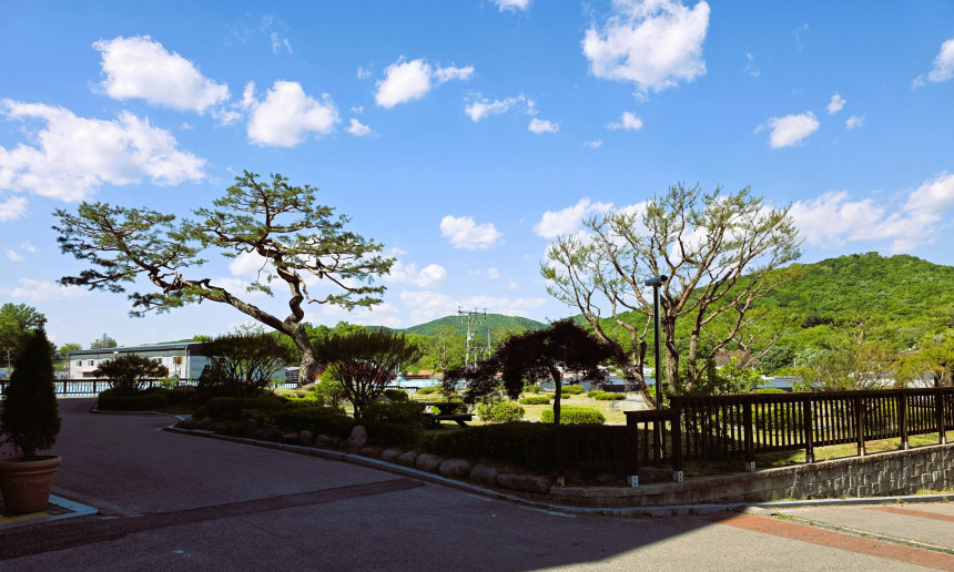 전경 5