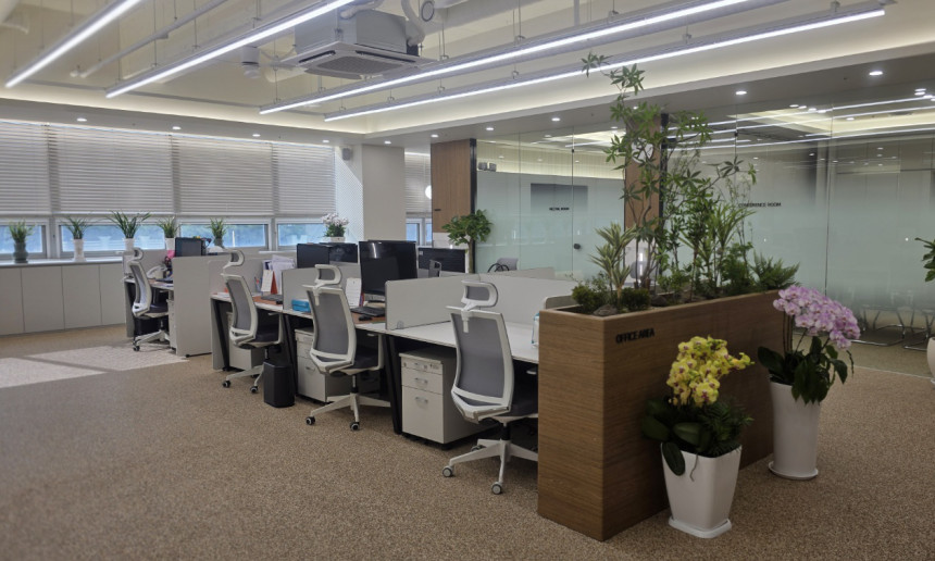 HEAD OFFICE